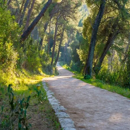 Feel Good - Two-bedroom With Terrace And Garden View Dubrownik